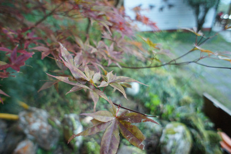 DSC00837.JPG