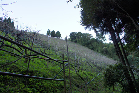 DSC00846.JPG
