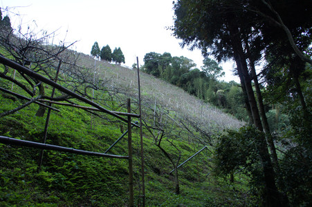DSC00847.JPG