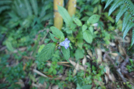 DSC00849.JPG