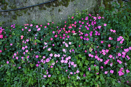 DSC00851.JPG