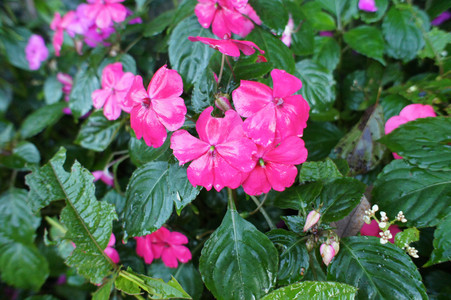 DSC00852.JPG