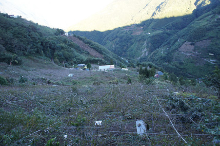 DSC00894.JPG