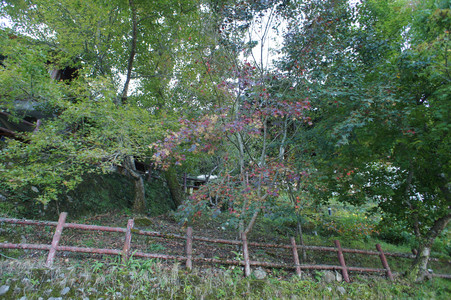 DSC00895.JPG