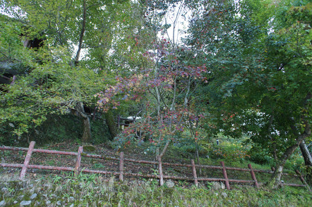 DSC00896.JPG