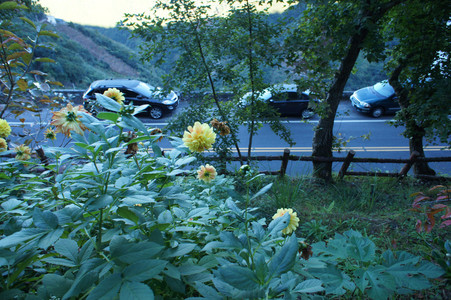 DSC00901.JPG