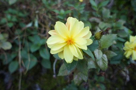 DSC00914.JPG