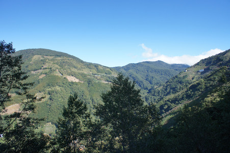 DSC00915.JPG