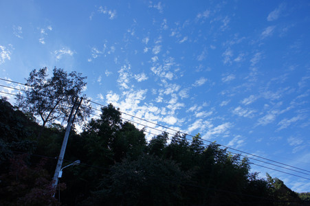 DSC00916.JPG