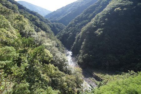DSC00938.JPG