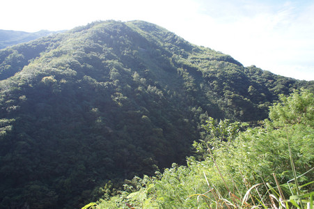 DSC00939.JPG