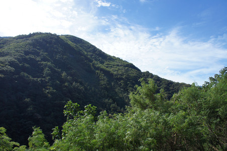 DSC00944.JPG