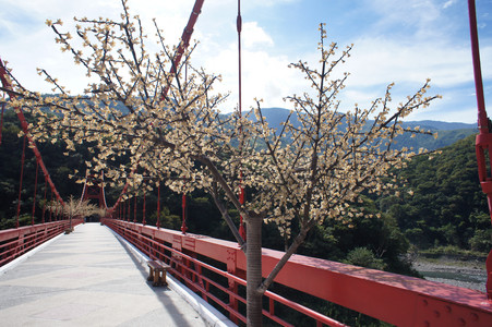 DSC00987.JPG