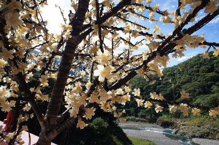 DSC00992.JPG