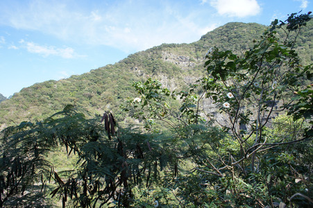 DSC01002.JPG
