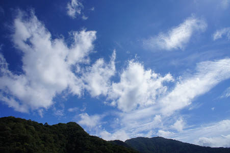 DSC01010.JPG