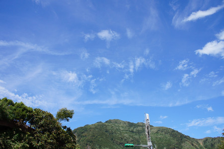 DSC01011.JPG