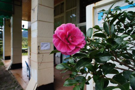 DSC01012.JPG