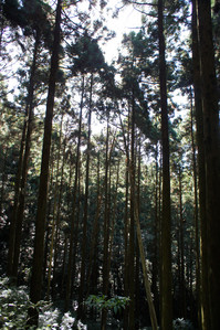 DSC01050.JPG