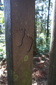 DSC01056.JPG