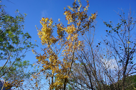 DSC01061.JPG