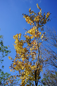 DSC01062.JPG