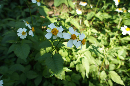 DSC01064.JPG