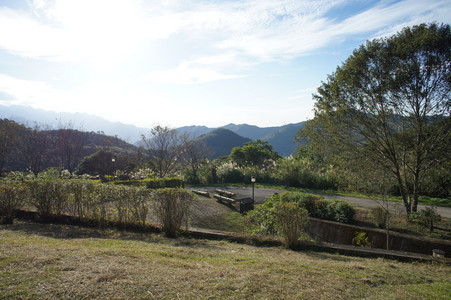 DSC01071.JPG