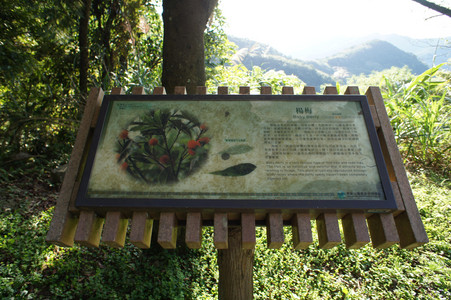 DSC01073.JPG