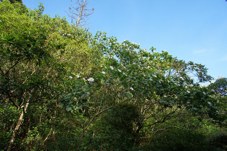 DSC01074.JPG