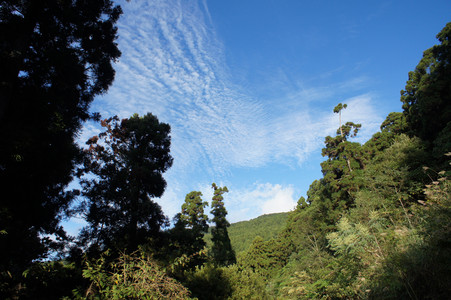DSC01077.JPG