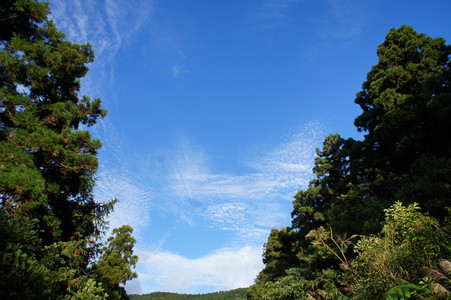 DSC01081.JPG