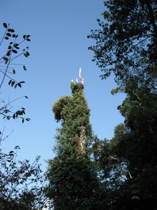 DSCF3855.JPG