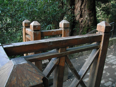 DSCF3857.JPG