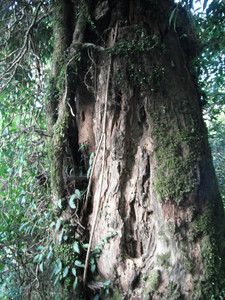 DSCF3858.JPG