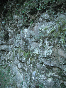 DSCF3866.JPG