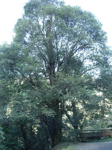 DSCF3872.JPG