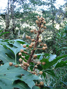 DSCF3874.JPG