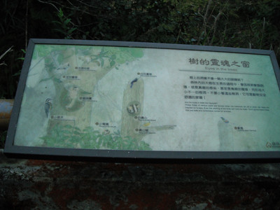 DSCF3875.JPG