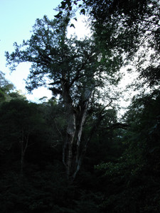 DSCF3878.JPG
