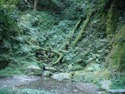 DSCF3880.JPG