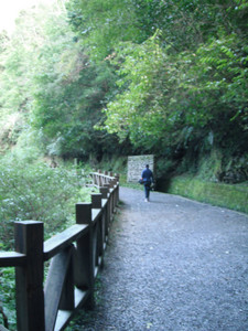 DSCF3881.JPG