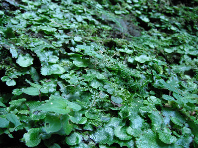 DSCF3884.JPG