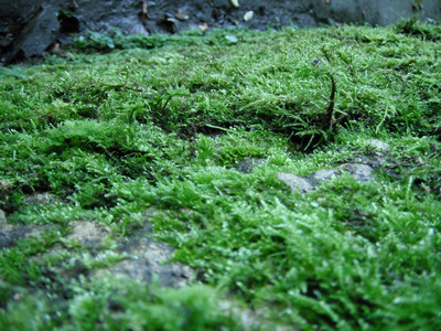 DSCF3886.JPG