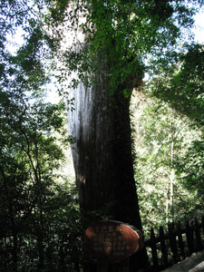DSCF3887.JPG