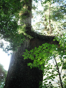DSCF3889.JPG