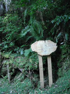 DSCF3893.JPG
