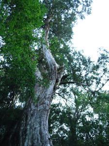 DSCF3896.JPG