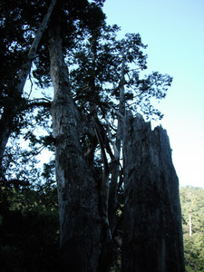 DSCF3898.JPG