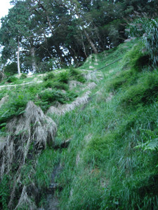 DSCF3899.JPG